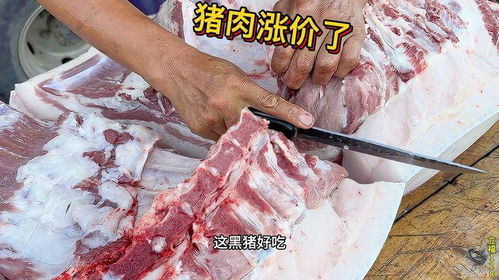  猪肉涨价了,老孟这头大黑猪超胖,大肉膘子一巴掌厚,大早上飞抢