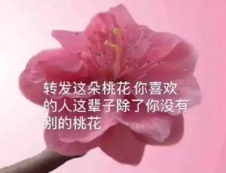 减肥减个屁表情包有个表