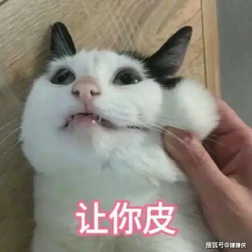  热门表情包图片让你皮,我就看戏,你很牛嘛