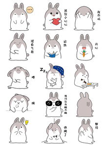  二组动物表情包