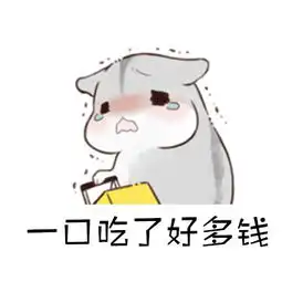  女生到底有多贵表情包下载