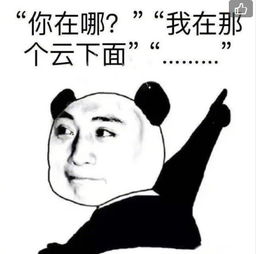  迷路表情包高清无水印版电脑客户端版雷达下载