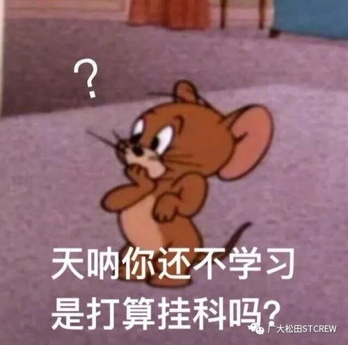  谢谢你们给我一个swag的结尾