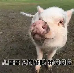  小哥哥一起打游戏嘛我98k消音