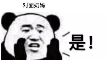  给散排dalao递表情包啦