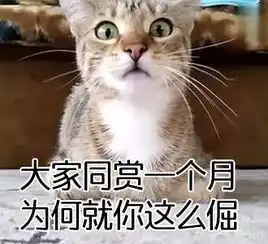  送你一波中秋节表情包五仁一出手对面抖三抖