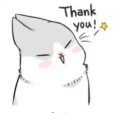  汤姆的生日