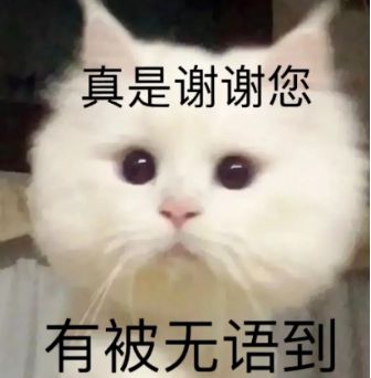  暴雨冷空气雷雨大风来袭江门天气有变未来将...