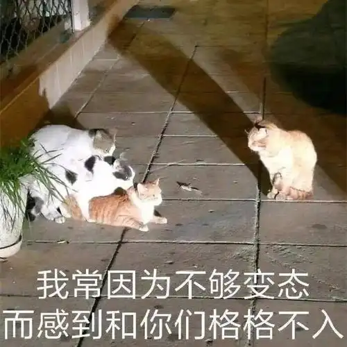  听说你是个喜新厌旧的人那真是太棒了