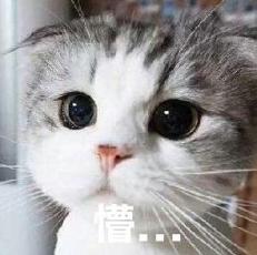  青岛一私家车停学校门口,被扔鸡蛋和粪便,车主谁干的