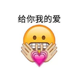  老子的爱请收好表情包大全