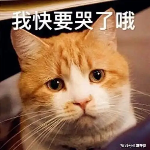  搞笑表情包图片我给你表演个翻白眼吧