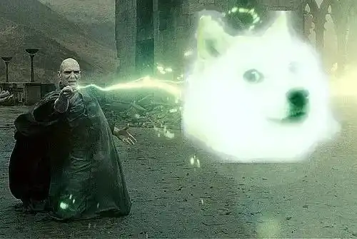  表情包顶流16岁了2岁被遗弃险遭安乐死愿你一直幸福下去