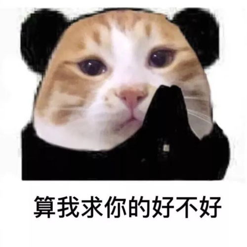  事故车辆被撞成豆腐渣环市西路这起车祸有多严重