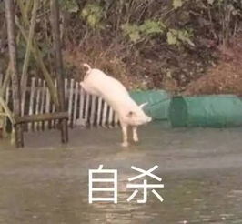  想吻你的手