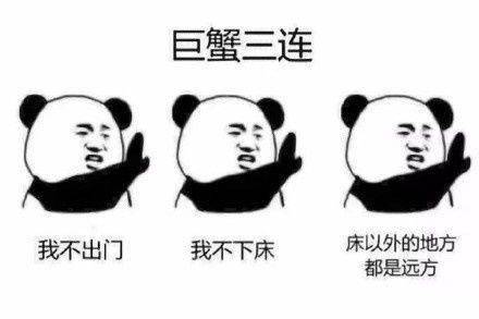  熊猫头表情包的个人展示页