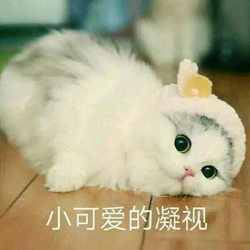  双排吃鸡的时候有什么甜甜的话,可以撩小哥哥呢