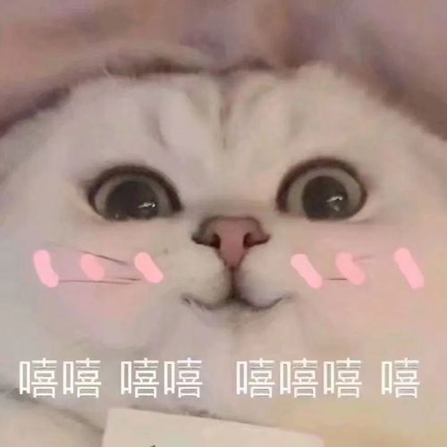  倒数礼盒并非盲盒,大牌倒数礼盒盘点第一弹,谁最值得谁又是智商税