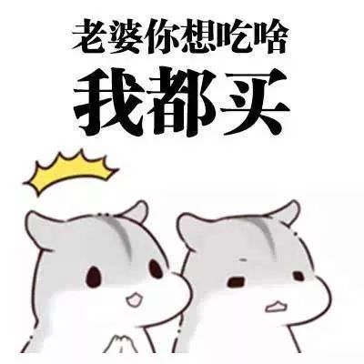  哈哈哈上海版土味情话终于c位出道魔都朋友圈疯狂pick