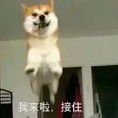  开个贴记录下我和吃鸡好友