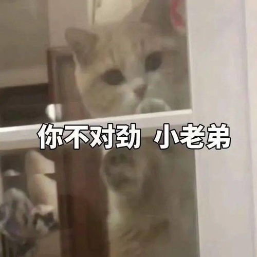 已经有人上当厦门警方紧急提醒