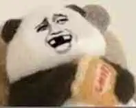  熊猫吃薯片表情包高清无水印合集熊猫吃薯片系列表情包大全