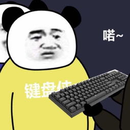 毁名气这件事,还是万宝璐在行