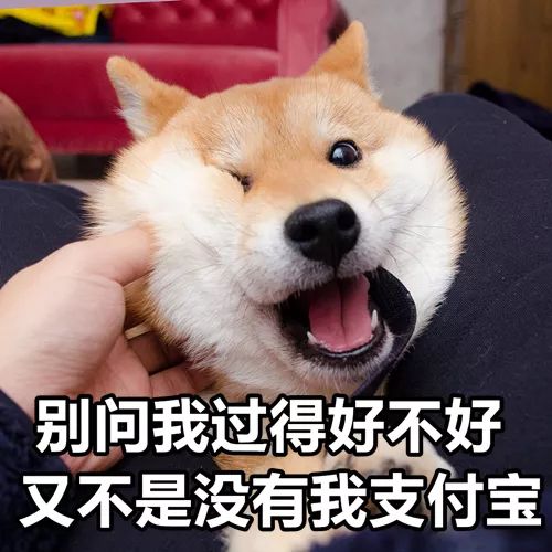  有的人虽然双11破产了,但依旧是表情包大户