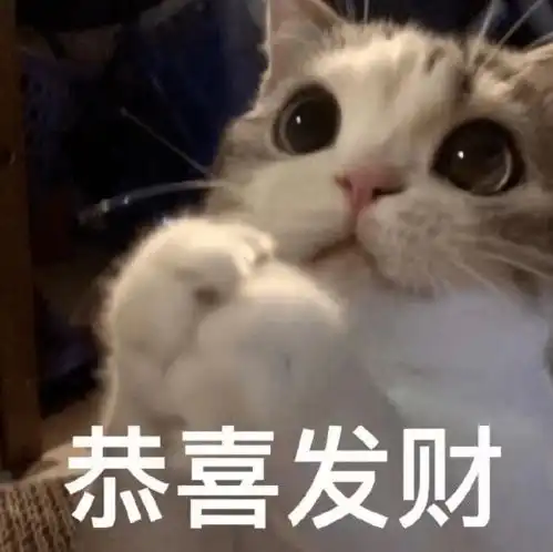  表情包今天我也是一只棒棒的小猫咪