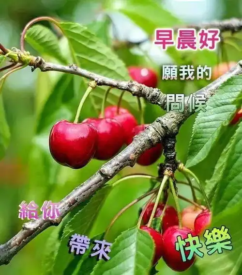  夏季早上好温馨问候祝福语图片发朋友早晨好的动态表情图片带字祝福短句