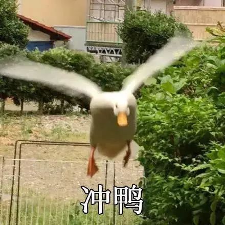  潮牌不过百羊绒3折买年货出清计划再度来袭六大品牌让你屯屯屯屯屯屯足货