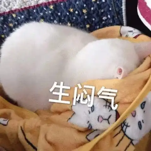  套路表情包图片紧张偷听,你冤枉我,不敢说话