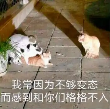  基金海王撩了1000多只基金,60赚到钱