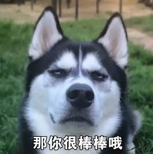  一套哈士奇表情包,收好不谢搜狐宠物搜狐网