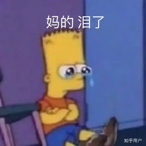  为什么大家这么讨厌爱猫人士