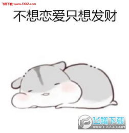  小仓鼠以前年纪小喜欢装文艺表情图片完整版下载以前年纪小喜欢装文艺小仓鼠表情包高清完整版下载飞翔下载