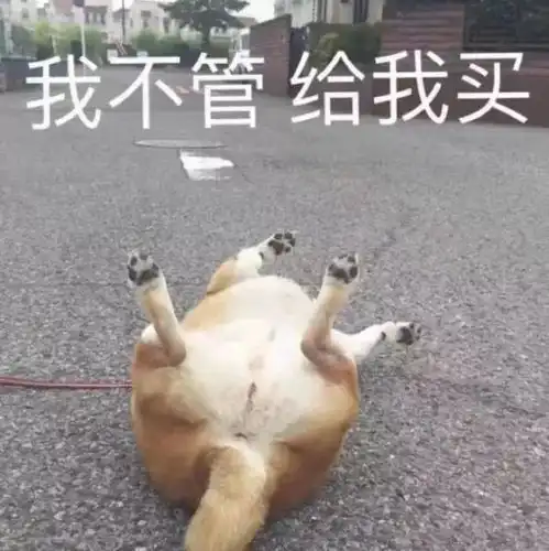 万能斗图表情包,快来收图  万能斗图表情包,快来收图