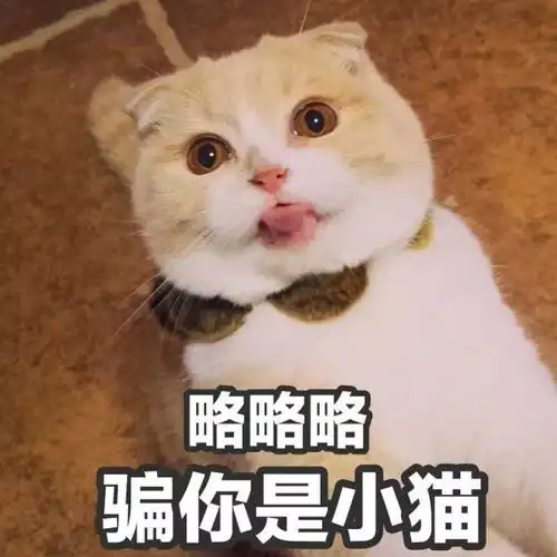  高薪可移民的澳洲jd专业,非法学本科同学的不二选择