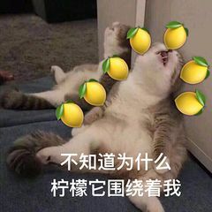  有哪些柠檬表情包