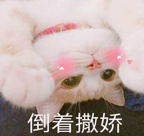  都市融媒剧场古有孟母三迁今有中国妈妈在温哥华