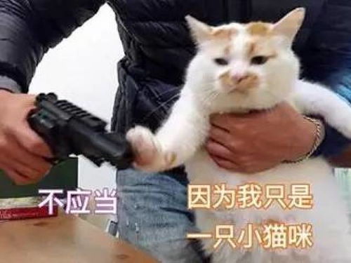 有文化的人,连尬聊都这么优雅