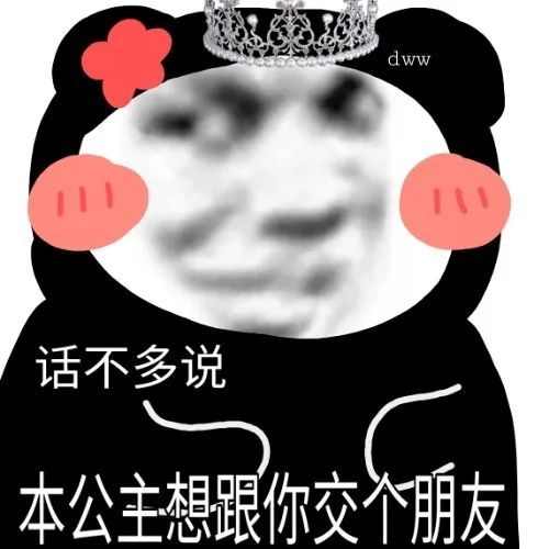  熊猫头表情包本公主想跟你交个朋友