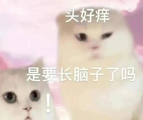  卡戴珊大卖智商税软糖,吃了能让下体变甜