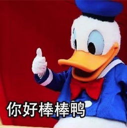  高晓松对吴亦凡的脸真是好有执念