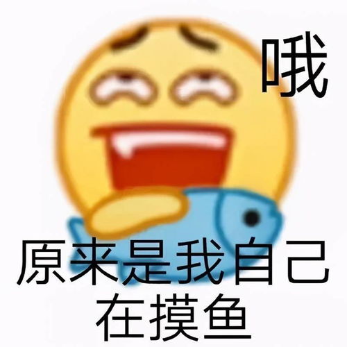  微信朋友圈电脑版刚刚上线,抖音电脑版也来了