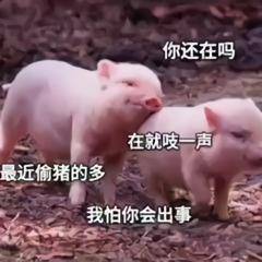  一组好可爱的表情包没关系我没事,所以爱会消失对不对