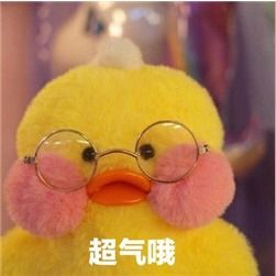  玻尿酸鸭表情包大全