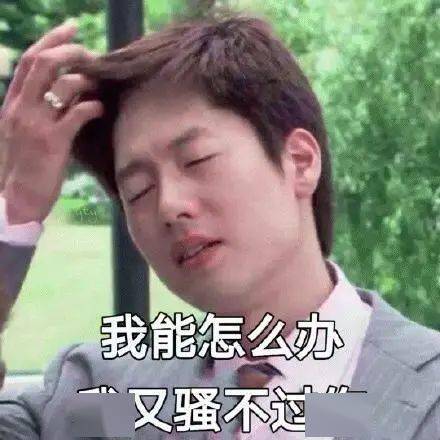  那一年,孙俪杨幂刘诗诗,都是四爷的女人