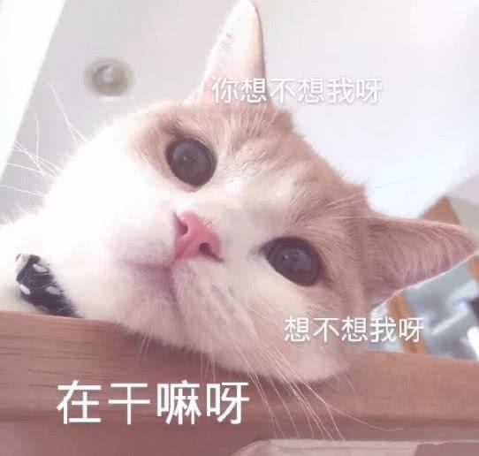  2021高考物理高中物理16种常见题型的解题方法和思维模板,抓好重点,你就得高分