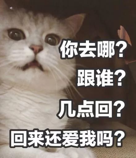我回来了表情包可爱潘欢